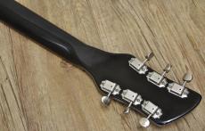Rickenbacker 320_6