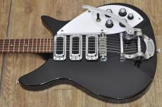 Rickenbacker 320_7