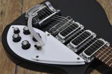 Rickenbacker 320_9