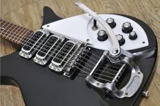 Rickenbacker 320_10