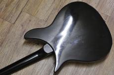 Rickenbacker 320_14