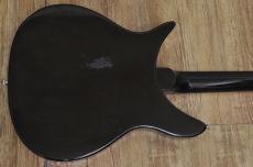 Rickenbacker 320_15