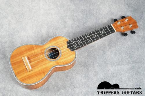 OTS LAB US-KOA (NEW)