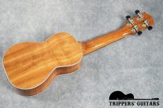OTS LAB US-KOA (NEW)_15