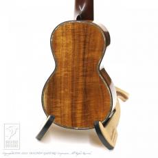HIDAKA GUITARS S5-K【セール開催中!36回無金利対象品】_4