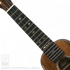 HIDAKA GUITARS S5-K【セール開催中!36回無金利対象品】_8
