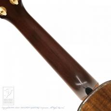 HIDAKA GUITARS S5-K【セール開催中!36回無金利対象品】_9