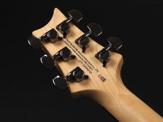 Paul Reed Smith [PRS] SE Swamp Ash CE 24 Sandblasted Limited Edition ~Sandblasted Green~_9