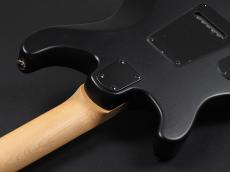 Paul Reed Smith [PRS] SE Swamp Ash CE 24 Sandblasted Limited Edition ~Sandblasted Green~_11