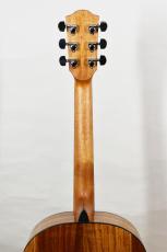 tkitki guitar hoa/w.S-koa_9