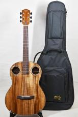 tkitki guitar hoa/w-koa_2