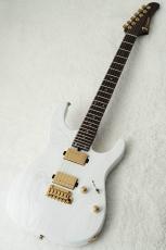 T's DST Pro 24 w/Rosewood Neck -Steps White Mat-_2