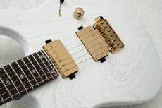 T's DST Pro 24 w/Rosewood Neck -Steps White Mat-_5