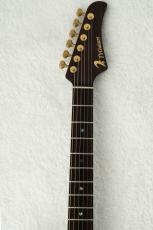 T's DST Pro 24 w/Rosewood Neck -Steps White Mat-_6