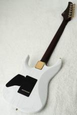 T's DST Pro 24 w/Rosewood Neck -Steps White Mat-_8