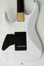 T's DST Pro 24 w/Rosewood Neck -Steps White Mat-_9