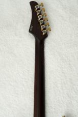 T's DST Pro 24 w/Rosewood Neck -Steps White Mat-_10