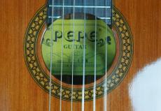 ＰＥＰＥ P-49M/490mm　#01