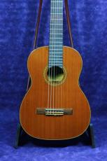 ＰＥＰＥ P-49M/490mm　#01_2