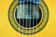 Kohno Masaru [河野賢] NO.15　松/ハカランダ　1975年