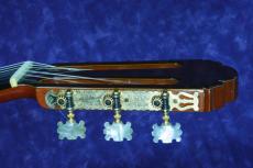 Kohno Masaru [河野賢] NO.15　松/ハカランダ　1975年_5