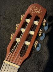 Godin 【USED】Multiac ACS-SA Nylon Light Burst Quilted Leaftop【2006年製】_4