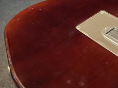 Godin 【USED】Multiac ACS-SA Nylon Light Burst Quilted Leaftop【2006年製】_11