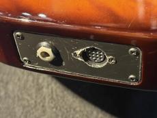 Godin 【USED】Multiac ACS-SA Nylon Light Burst Quilted Leaftop【2006年製】_12