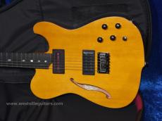 Westville Westel Semi-Hollow (Spruce top, Mahogany back / C8-AL4)_2