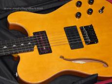 Westville Westel Semi-Hollow (Spruce top, Mahogany back / C8-AL4)_6