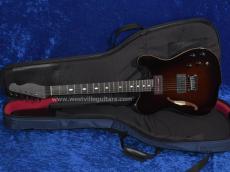 Westville Westel Semi-Hollow (Spruce top, Mahogany back / C8-AL4) 