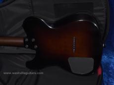 Westville Westel Semi-Hollow (Spruce top, Mahogany back / C8-AL4) _3