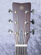 YAMAHA FG3【マホガニーサイド&バック】_7