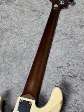 Bacchus WL5-AGED/RSM - OWH-AGED - 【4.81㎏】【#GI13982】チョイキズ特価品_8