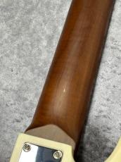 Bacchus WL5-AGED/RSM - OWH-AGED - 【4.81㎏】【#GI13982】チョイキズ特価品_9