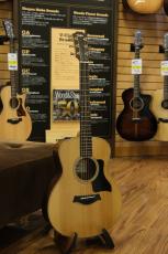 Taylor GS Mini-e Rosewood Plus_9