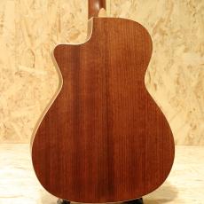 Fender Newporter Special Honey Burst_2