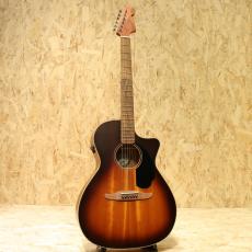 Fender Newporter Special Honey Burst_3
