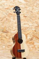 KoAloha KCNP-00 Naupaka Concert_3
