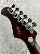 Bacchus BARON-JAZZ NA#GI20444 [3.41kg]_7