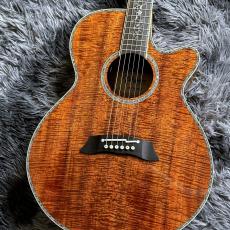 Takamine DMP100K N 【2026年製】【日本製】【エレアコ】