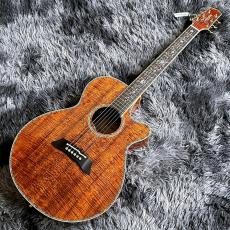 Takamine DMP100K N 【2026年製】【日本製】【エレアコ】_2