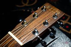 Martin D-18P / 2010_4