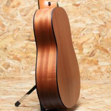 Taylor 117e LTD Blacktop_5