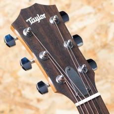 Taylor 117e LTD Blacktop_8