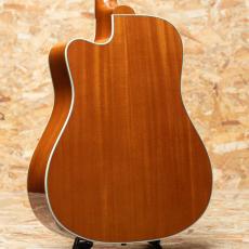 Gibson Hummingbird Standard EC_2