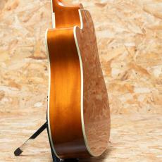 Gibson Hummingbird Standard EC_5