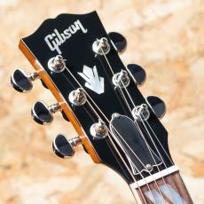 Gibson Hummingbird Standard EC_8