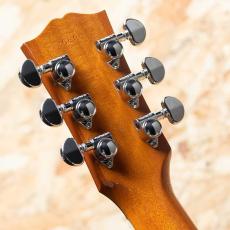 Gibson Hummingbird Standard EC_9