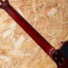 Godin Multiac ACS SA 2015_7